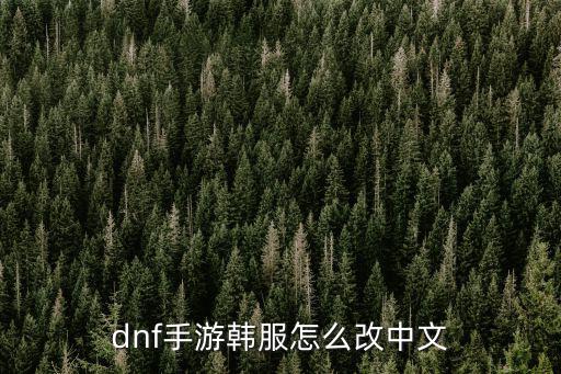 dnf手游韩服怎么改中文