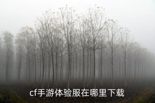 cf手游体验服在哪里下载