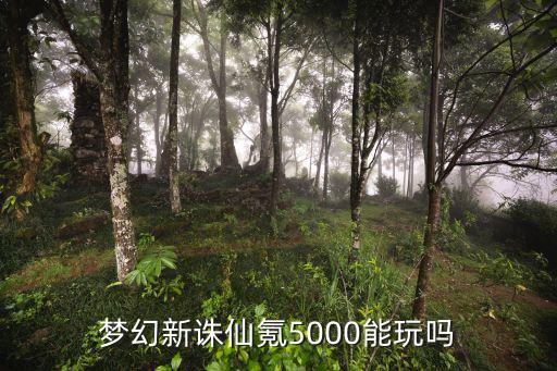 梦幻新诛仙氪5000能玩吗