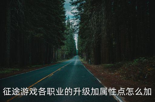 征途游戏各职业的升级加属性点怎么加