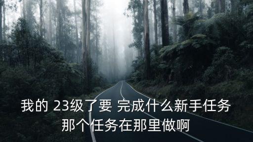 方舟手游硬汉模式23级该怎么玩，我的 23级了要 完成什么新手任务那个任务在那里做啊