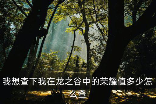 我想查下我在龙之谷中的荣耀值多少怎么查