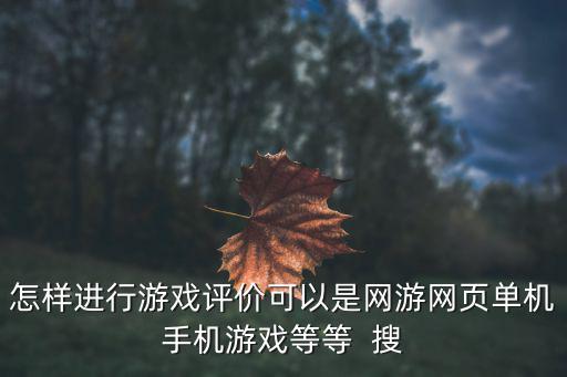 怎样进行游戏评价可以是网游网页单机手机游戏等等  搜