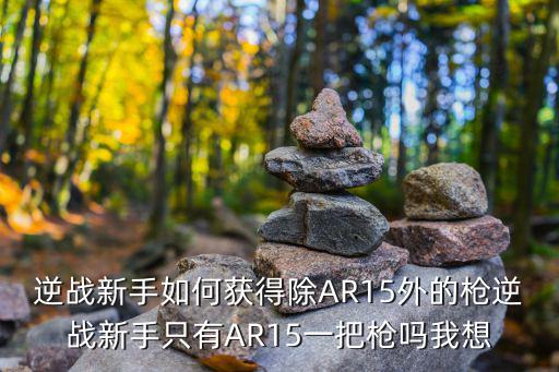 逆战新手如何获得除AR15外的枪逆战新手只有AR15一把枪吗我想