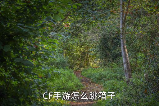 CF手游怎么跳箱子