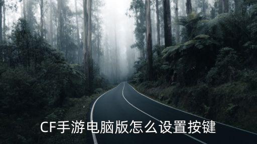 cf手游雪羽按键怎么用，ios支持手柄的手游cf手游手柄按键设置