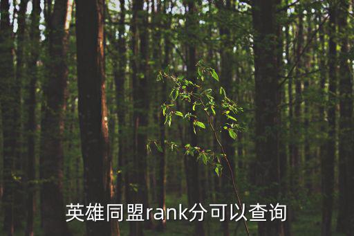 英雄同盟rank分可以查询