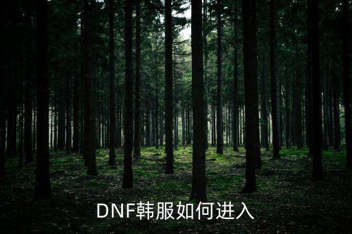 dnf手游韩服sdk怎么办，dnf韩服安装错误怎么办