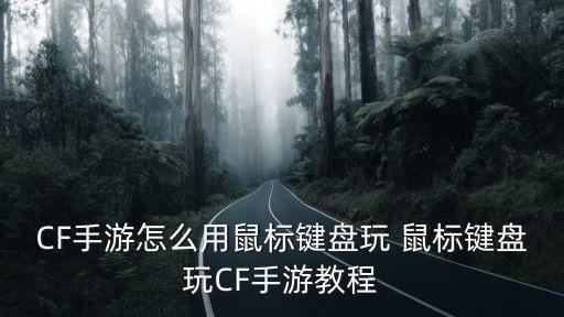 CF手游怎么用鼠标键盘玩 鼠标键盘玩CF手游教程