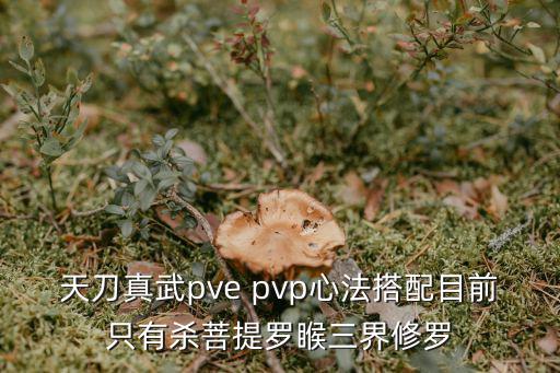 天刀真武pve pvp心法搭配目前只有杀菩提罗睺三界修罗