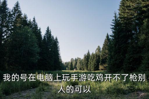 我的号在电脑上玩手游吃鸡开不了枪别人的可以