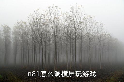 n81怎么调横屏玩游戏