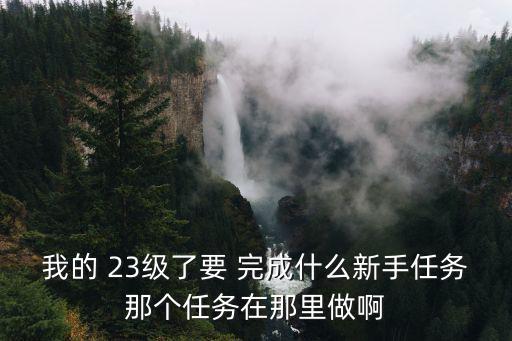 我的 23级了要 完成什么新手任务那个任务在那里做啊