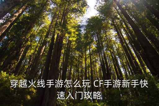 穿越火线手游怎么玩 CF手游新手快速入门攻略