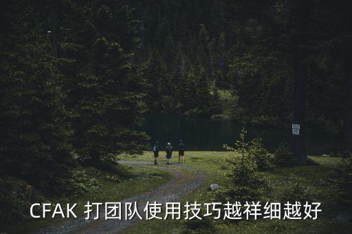 CFAK 打团队使用技巧越祥细越好