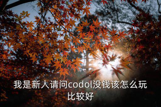 我是新人请问codol没钱该怎么玩比较好