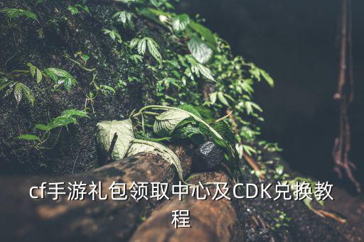 cf手游海玫瑰怎么兑换，cf手游在哪里输入兑换码