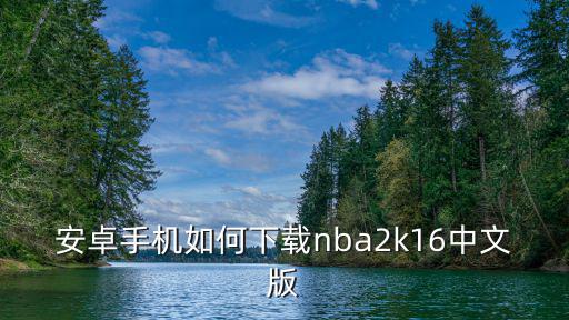 安卓手机如何下载nba2k16中文版