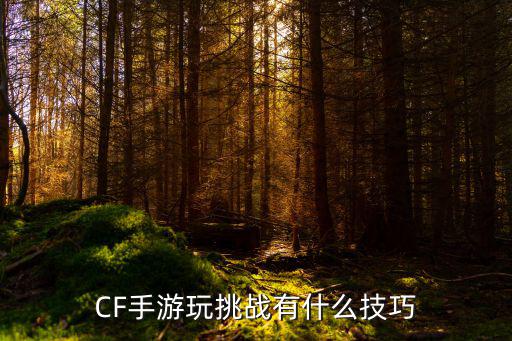 CF手游玩挑战有什么技巧