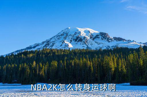 NBA2K怎么转身运球啊