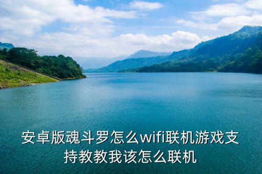 安卓版魂斗罗怎么wifi联机游戏支持教教我该怎么联机