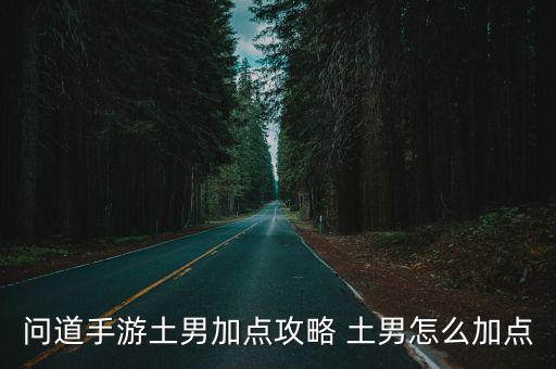 问道手游土男技能怎么用，问道手游土男加点攻略 土男怎么加点