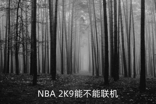 nba手游2k19怎么联机，NBA 2K9能不能联机