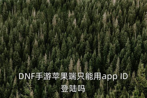 DNF手游苹果端只能用app ID登陆吗