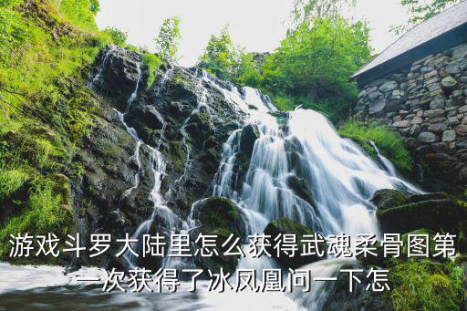 游戏斗罗大陆里怎么获得武魂柔骨图第一次获得了冰凤凰问一下怎