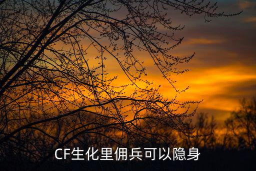 CF生化里佣兵可以隐身