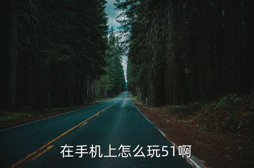 在手机上怎么玩51啊