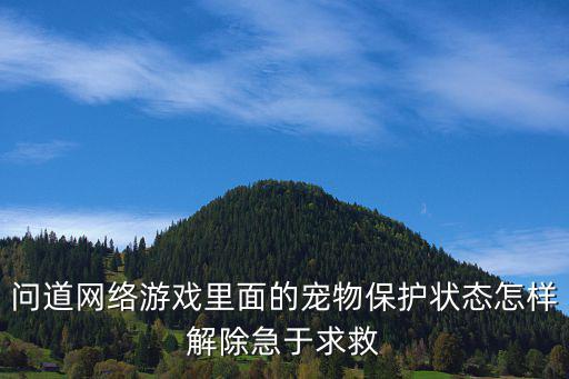 问道网络游戏里面的宠物保护状态怎样解除急于求救