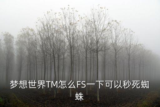 梦想世界TM怎么FS一下可以秒死蜘蛛