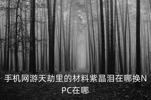 天劫手游源质锭怎么来，手机网游天劫里的材料紫晶泪在哪换NPC在哪