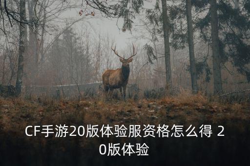 CF手游20版体验服资格怎么得 20版体验