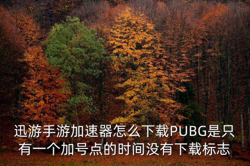 迅游手游加速器怎么下载PUBG是只有一个加号点的时间没有下载标志