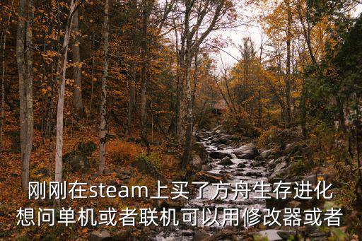 刚刚在steam上买了方舟生存进化想问单机或者联机可以用修改器或者