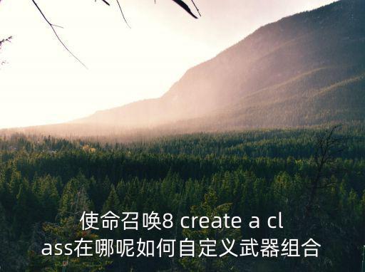 使命召唤8 create a class在哪呢如何自定义武器组合