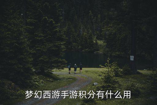 梦幻西游手游积分有什么用