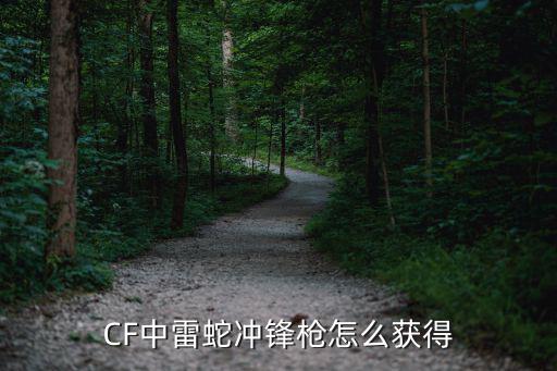 CF中雷蛇冲锋枪怎么获得