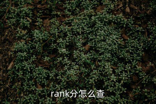 rank分怎么查