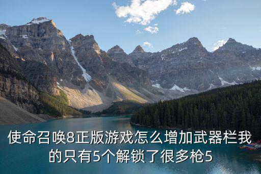 使命召唤8正版游戏怎么增加武器栏我的只有5个解锁了很多枪5