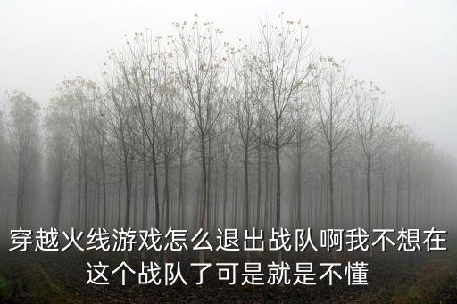 穿越火线游戏怎么退出战队啊我不想在这个战队了可是就是不懂