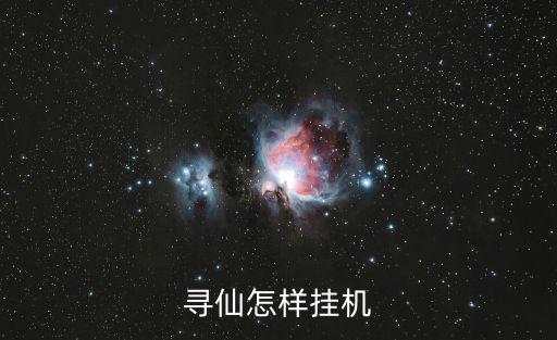 寻仙怎样挂机