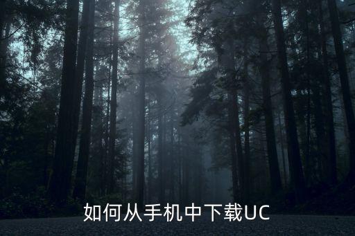 如何从手机中下载UC