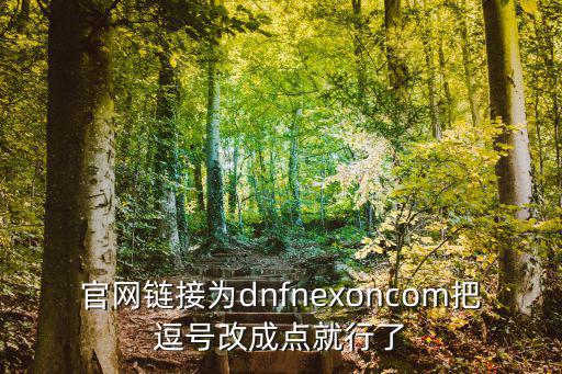 官网链接为dnfnexoncom把逗号改成点就行了