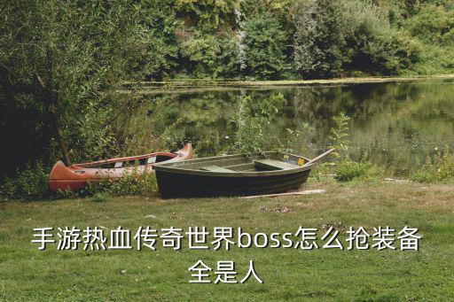 手游热血传奇世界boss怎么抢装备全是人