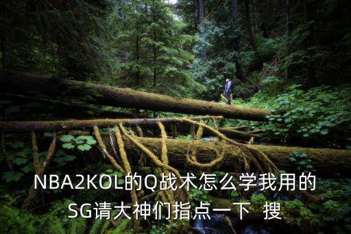 2kol2手游怎么点战术，NBA2KOL的Q战术怎么学我用的SG请大神们指点一下  搜