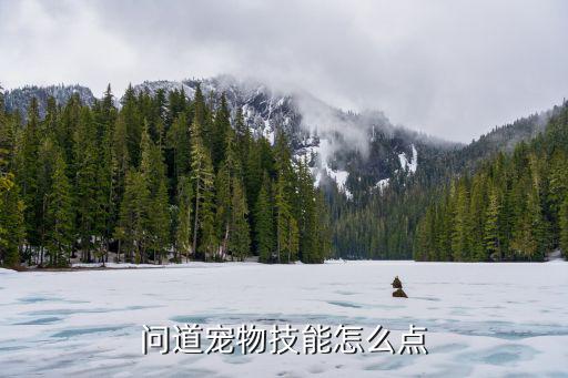 问道手游高级宠物技能怎么用，问道手游宠物的天生技能有什么用