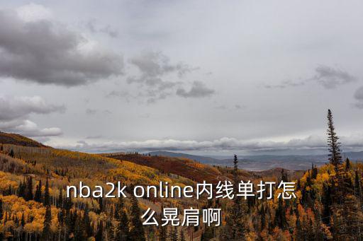 nba2k online内线单打怎么晃肩啊